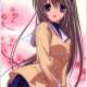   Clannad: Another World Tomoyo Chapter <small>Original Character Design</small> 